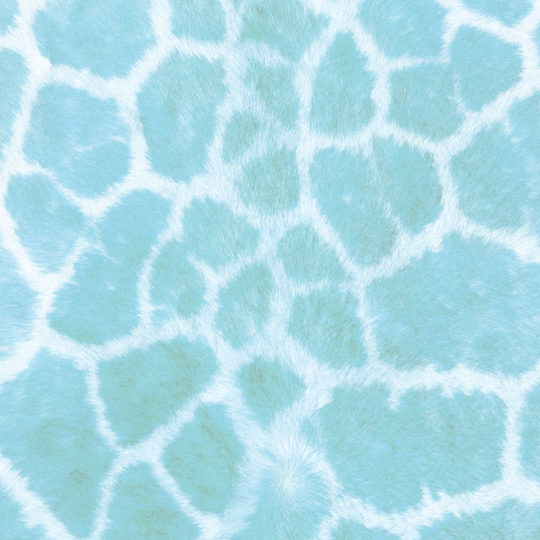 Fur pattern Blue Android SmartPhone Wallpaper