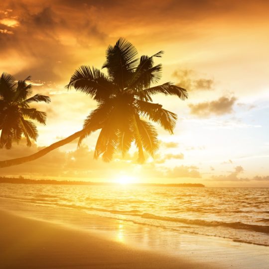 Beach landscape Android SmartPhone Wallpaper