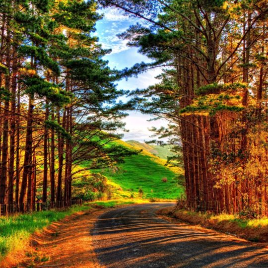 Landscape avenue Android SmartPhone Wallpaper