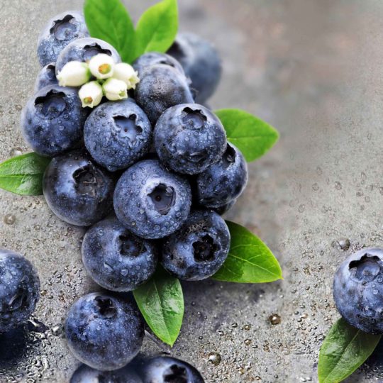 Food blueberry blue Android SmartPhone Wallpaper