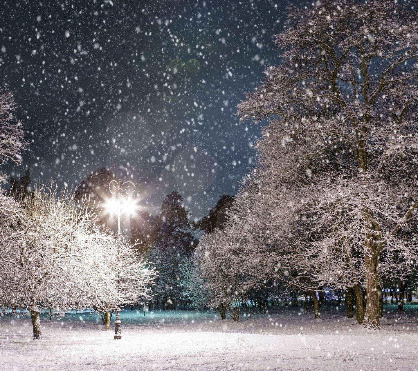 Фото падающего снега