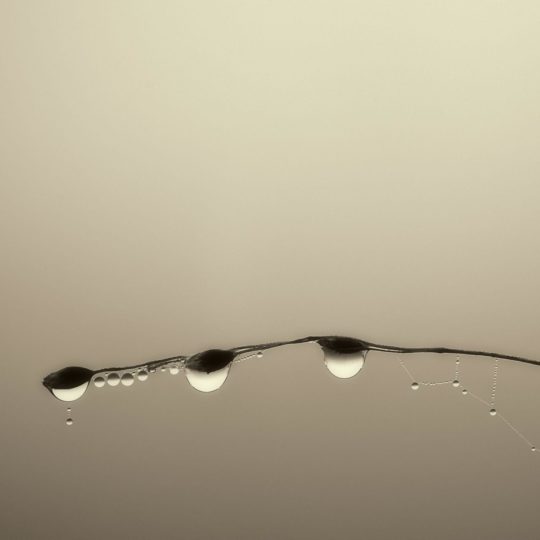 Natural water drops Android SmartPhone Wallpaper