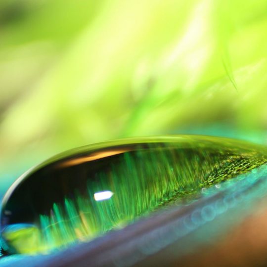 Natural water drops green Android SmartPhone Wallpaper