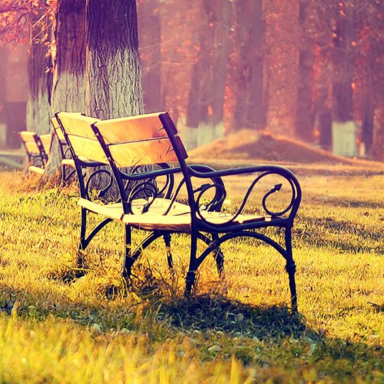 Landscape bench Android SmartPhone Wallpaper