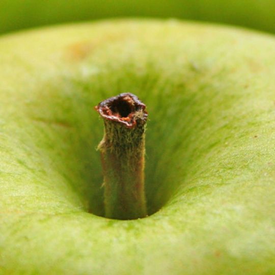 Green apple fruit blur Android SmartPhone Wallpaper