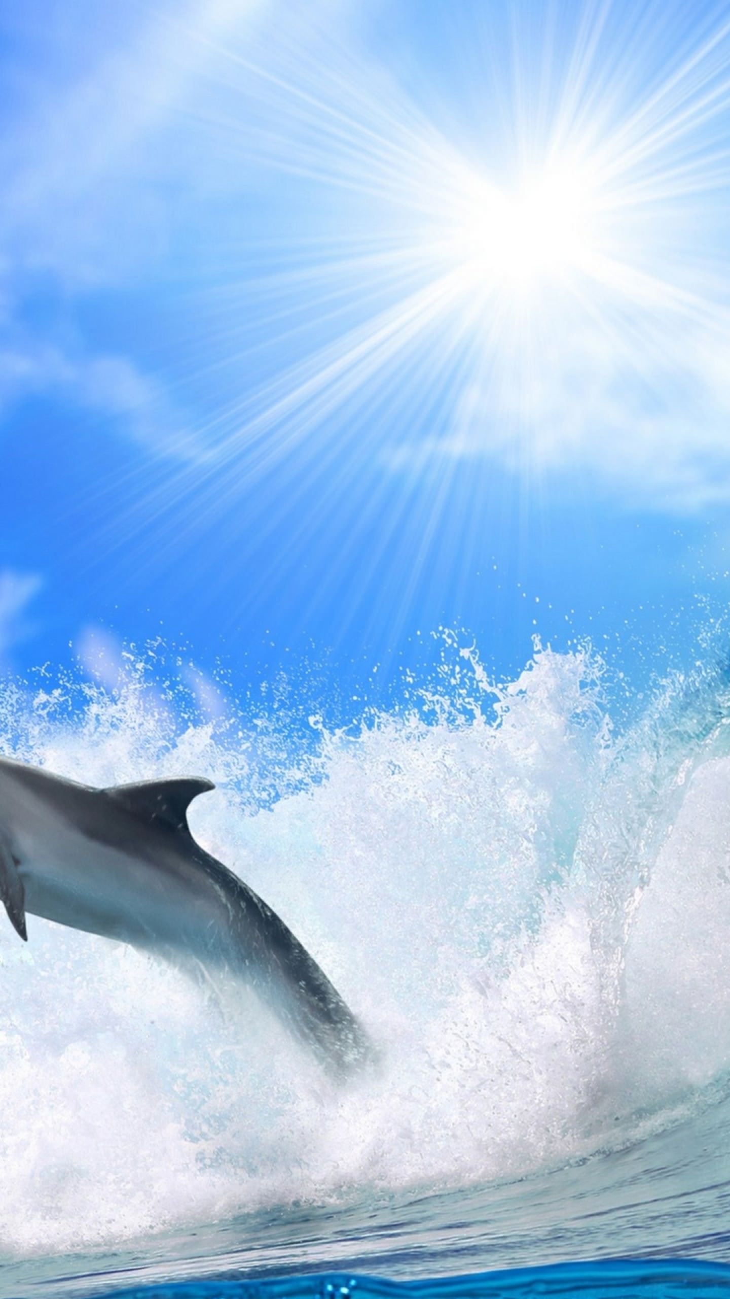Sea dolphin sun | wallpaper.sc SmartPhone