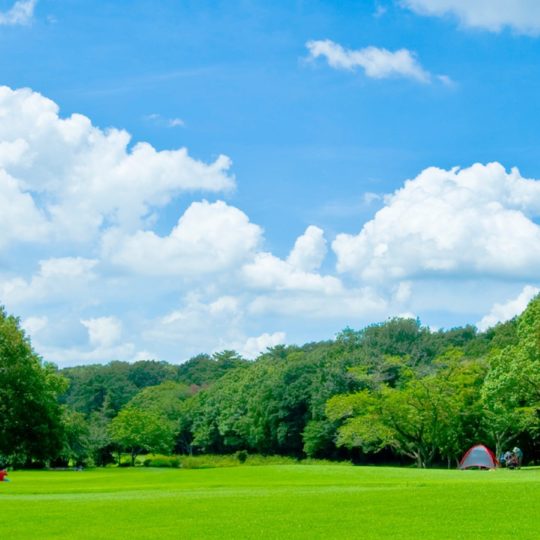 green  sky  cloud Android SmartPhone Wallpaper