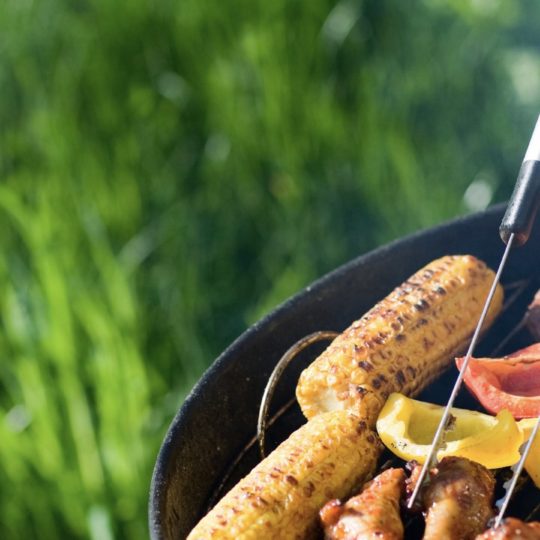 Barbecue BBQ food green Android SmartPhone Wallpaper