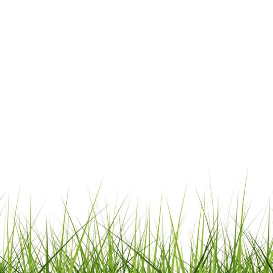 Cool lawn green Android SmartPhone Wallpaper