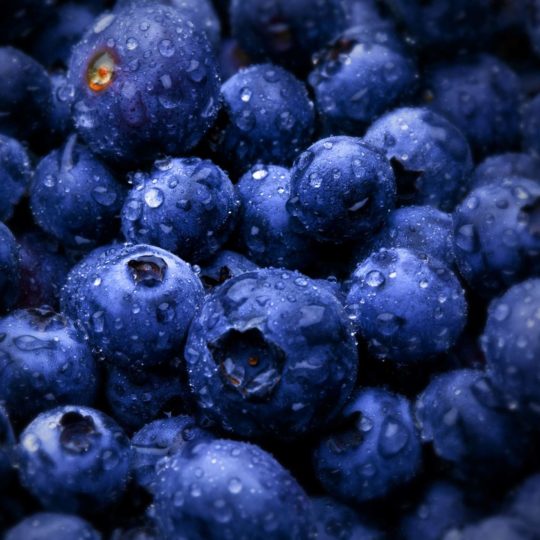 Fu blueberry blue Android SmartPhone Wallpaper