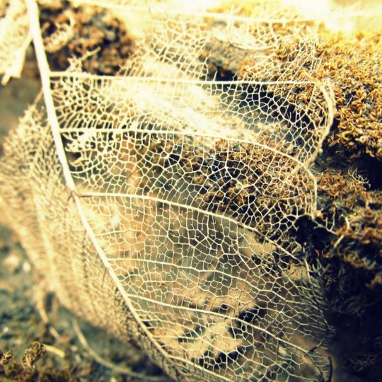 Natural fiber Android SmartPhone Wallpaper