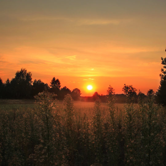 Landscape sunset Android SmartPhone Wallpaper