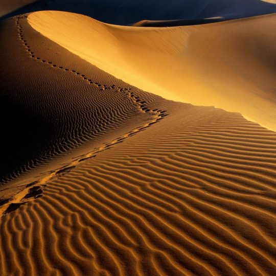 Desert landscape Android SmartPhone Wallpaper