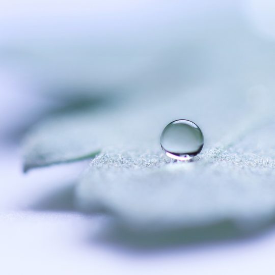 Natural leaf water droplets Android SmartPhone Wallpaper