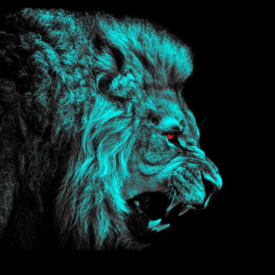 Animal lion green Android SmartPhone Wallpaper