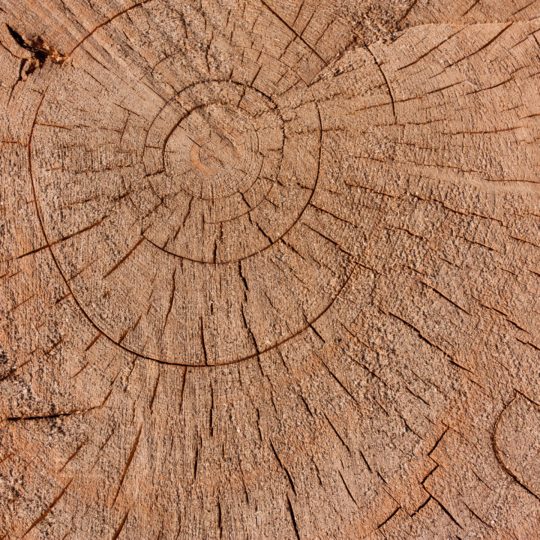 wall wood brown Android SmartPhone Wallpaper