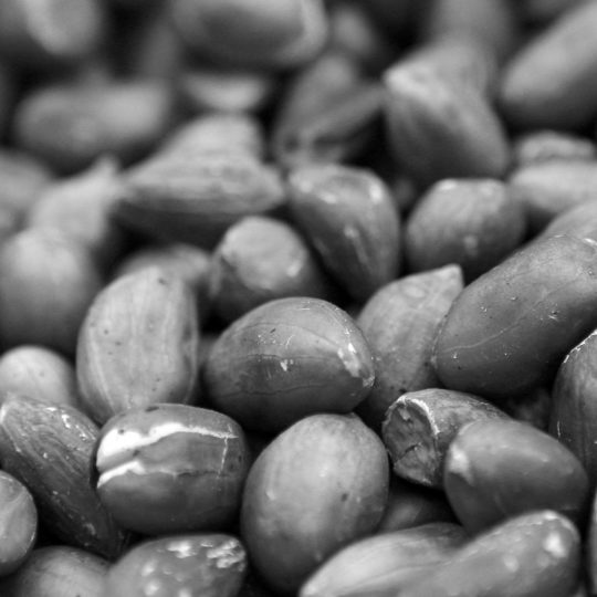 Monochrome beans Android SmartPhone Wallpaper