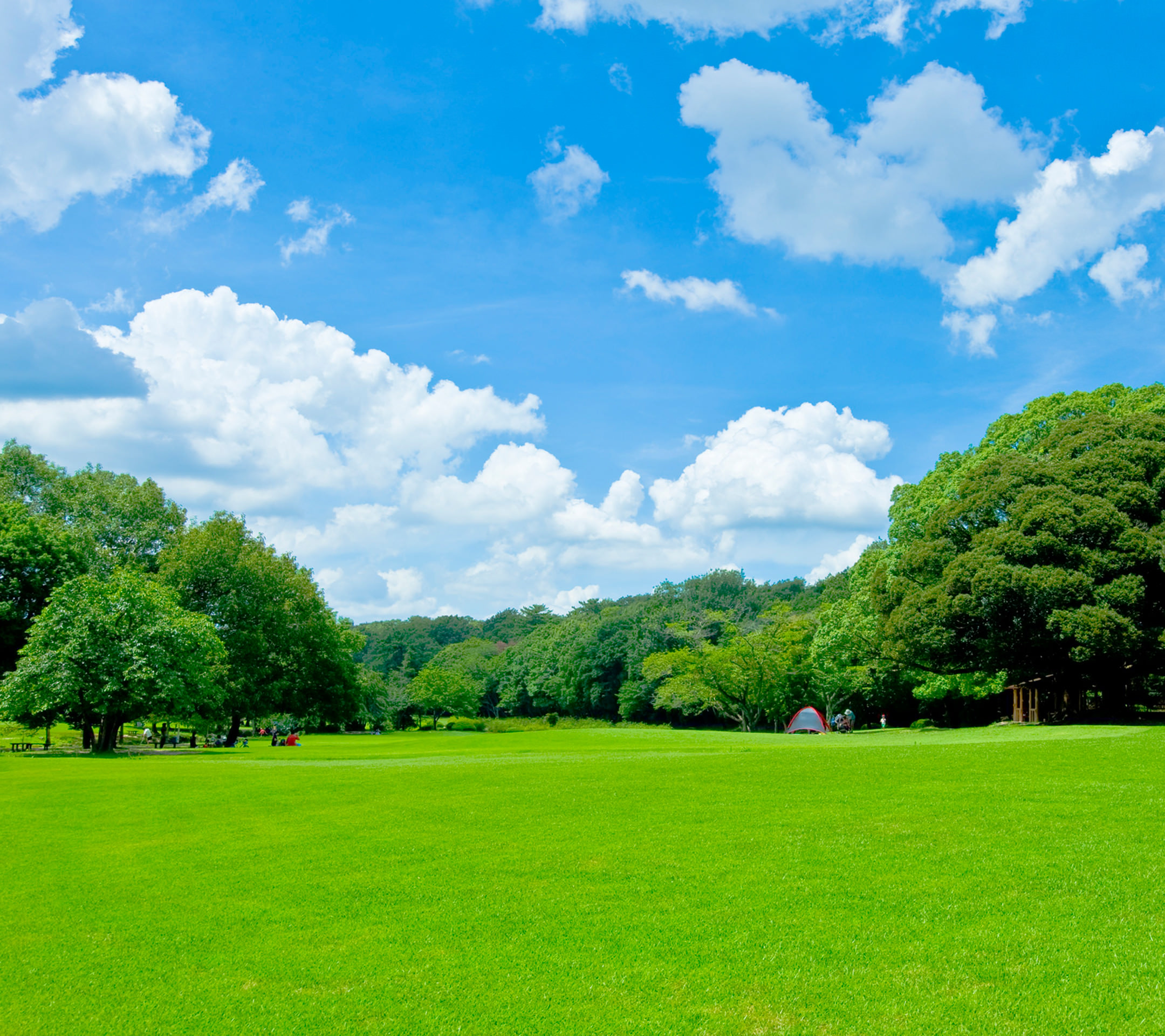 green sky cloud | wallpaper.sc SmartPhone