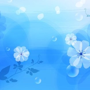 Blue flower pattern Apple Watch photo face Wallpaper