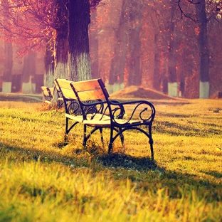 Landscape bench Apple Watch photo face Wallpaper