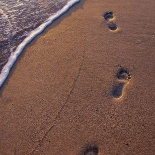 Landscape sand beach footprints Apple Watch photo face Wallpaper