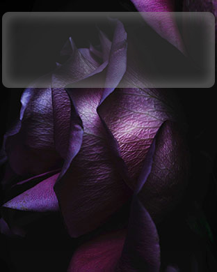 Flowers purple black iOS9 shelf | wallpaper.sc AppleWatch