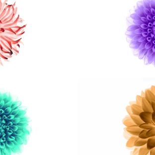 iOS9 flower image white Cool Apple Watch photo face Wallpaper