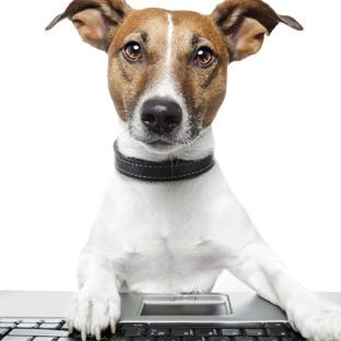 Dog animal keyboard Apple Watch photo face Wallpaper