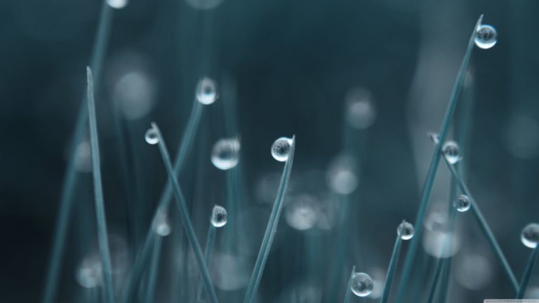 Natural grass water droplets Desktop PC / Mac Wallpaper