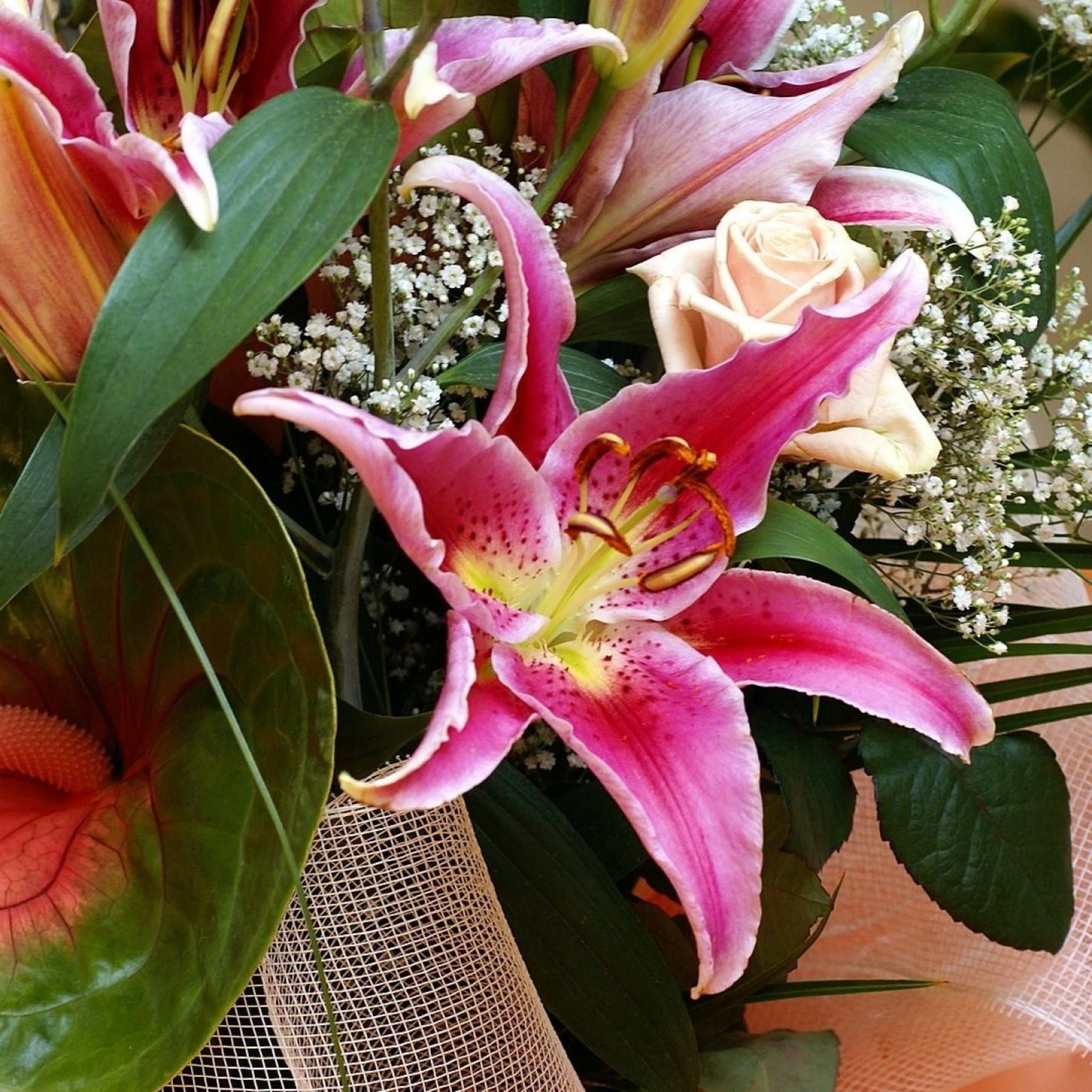 Natural flower ki wallpaper.sc iPad