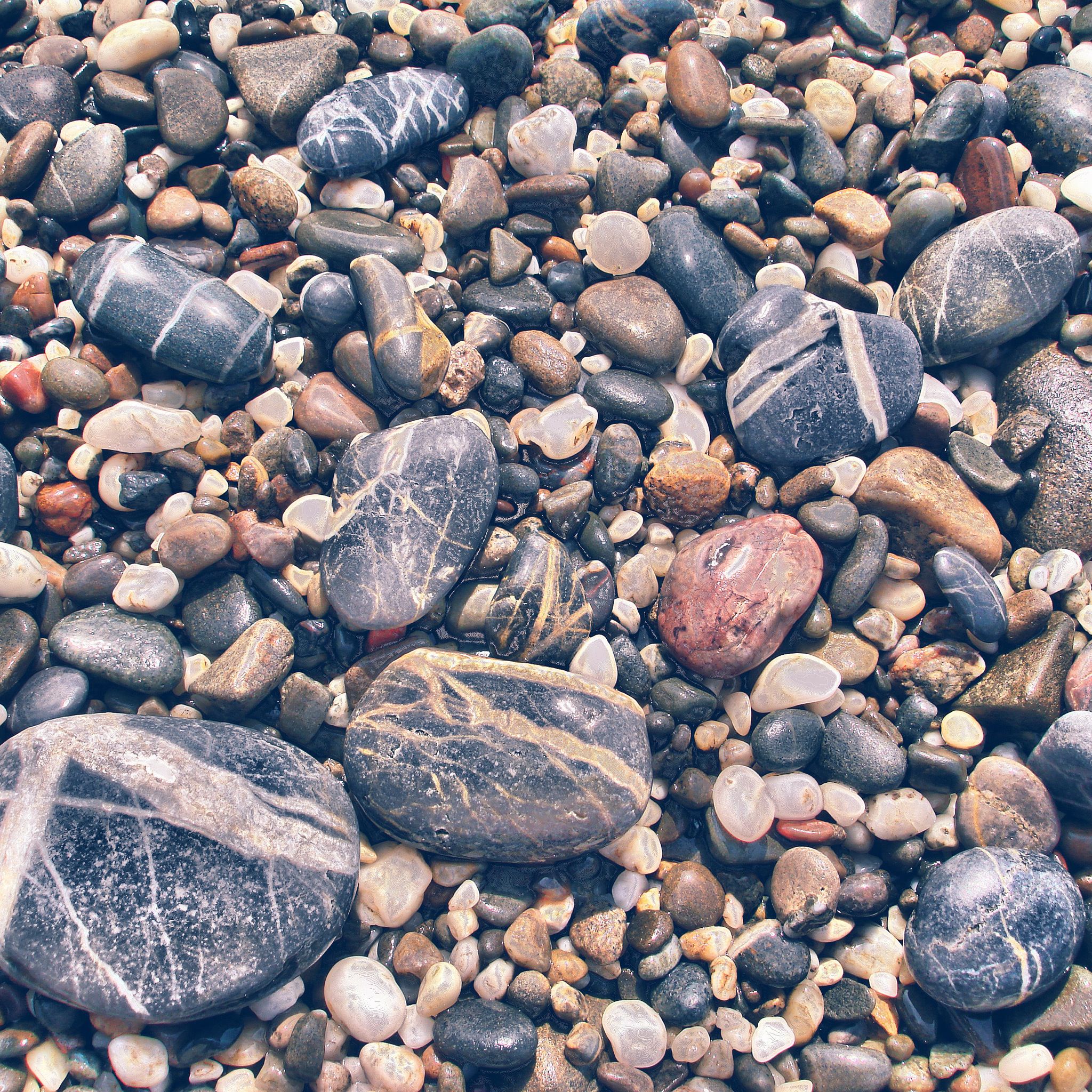 Камни черного моря
