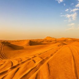 Desert landscape iPad / Air / mini / Pro Wallpaper