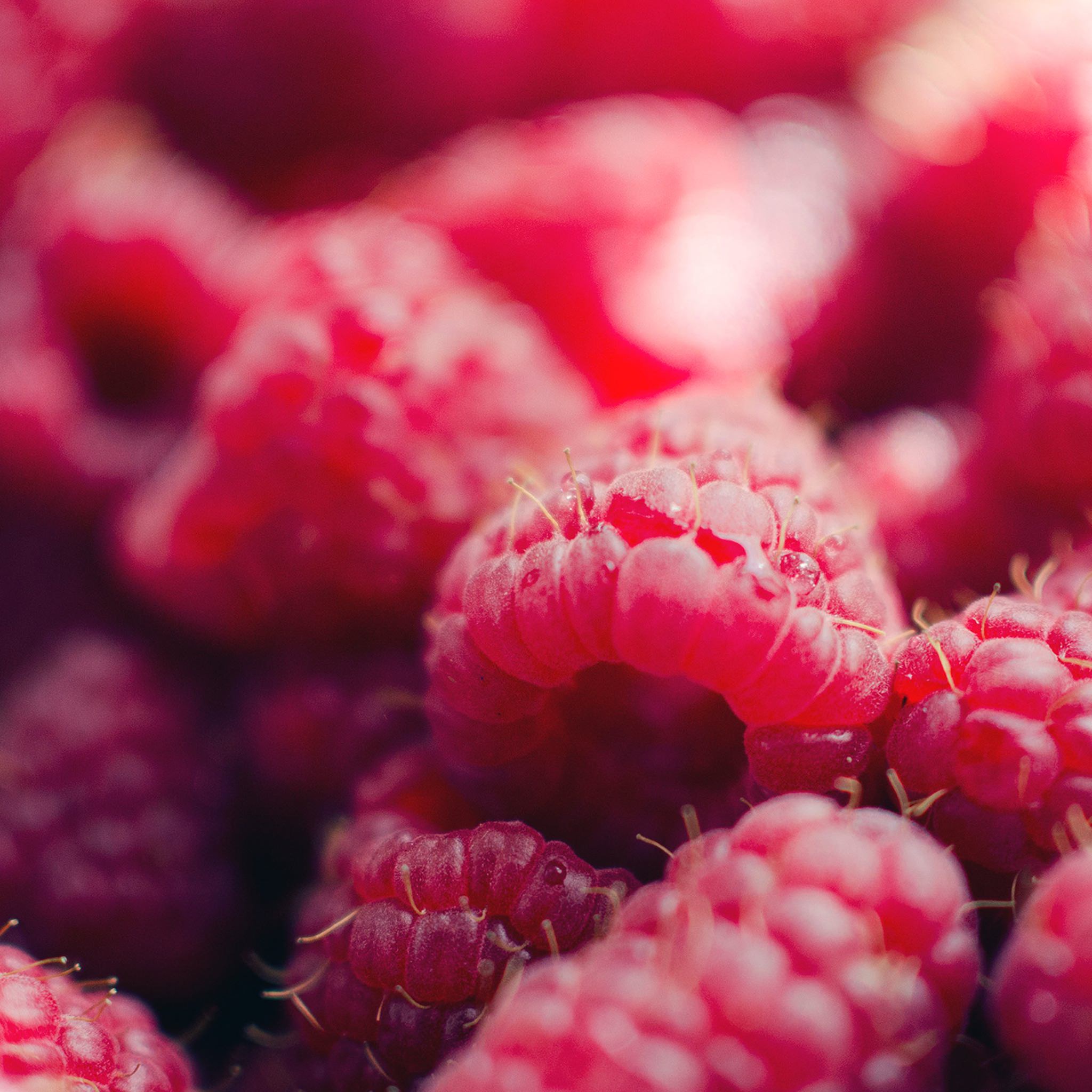 Blur raspberry red | wallpaper.sc iPad