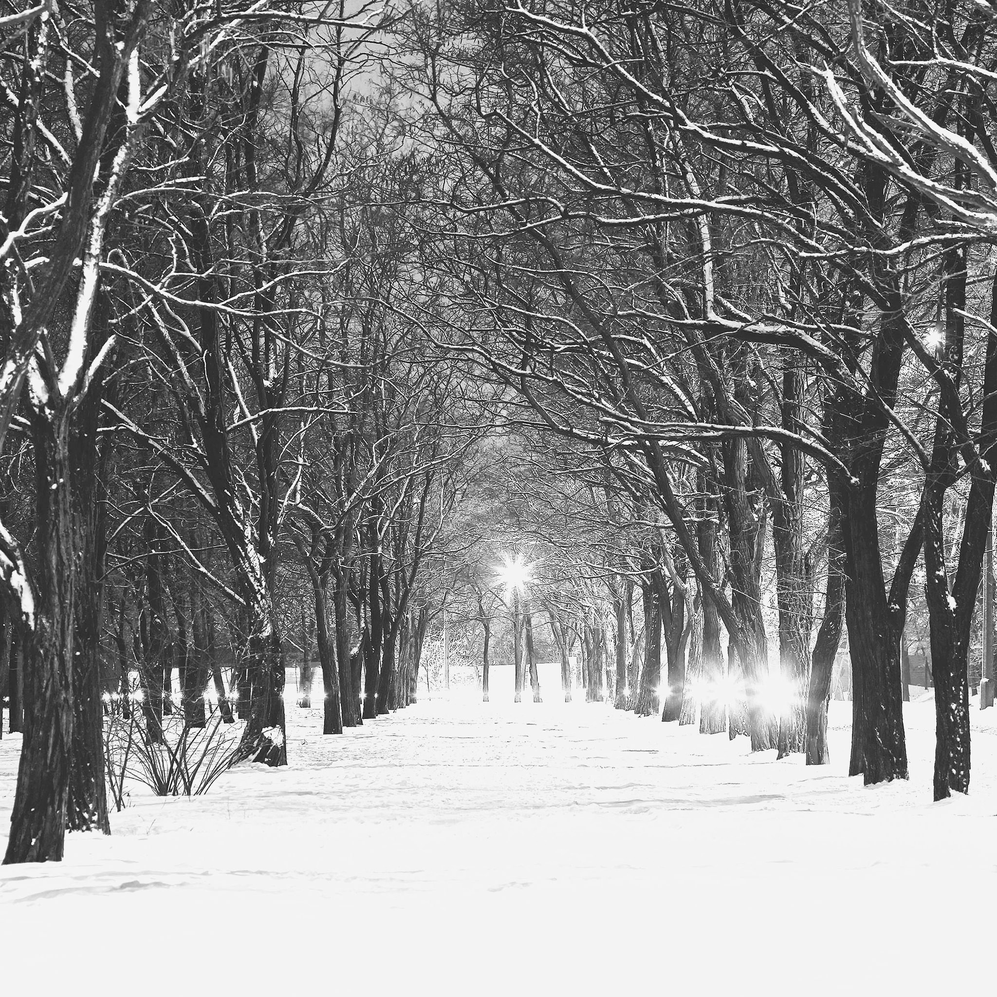 Monochrome landscape Ki snow | wallpaper.sc iPad