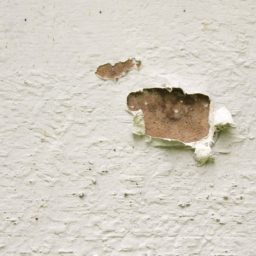 White peeling wall iPad / Air / mini / Pro Wallpaper