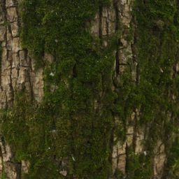 Tree moss green brown iPad / Air / mini / Pro Wallpaper