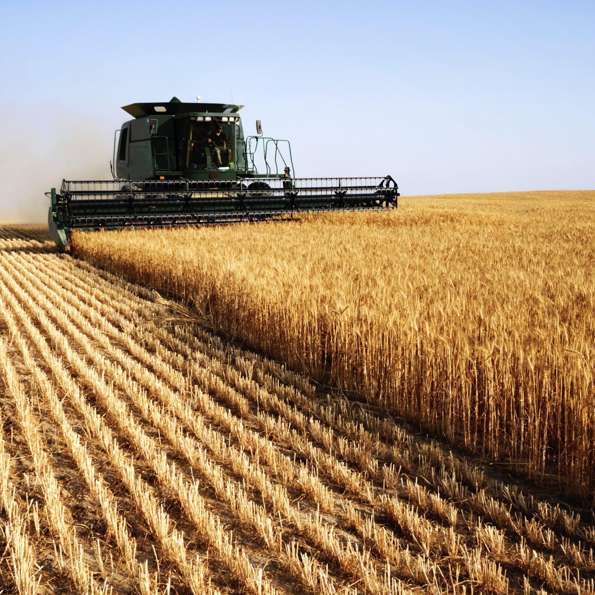 Самые сельскохозяйственные страны. Сельское хозяйство. Сельское хозяйство Растениеводство. Поле пшеницы. Промышленность и сельское хозяйство.
