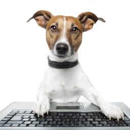 Dog animal keyboard iPad / Air / mini / Pro Wallpaper