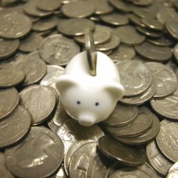 Pig piggy bank money coins iPad / Air / mini / Pro Wallpaper