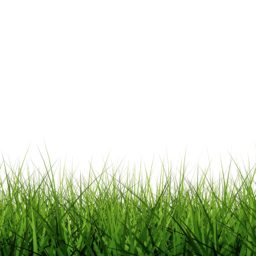 Cool lawn green iPad / Air / mini / Pro Wallpaper