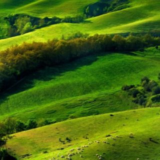 Grassland green landscape iPhone4s Wallpaper