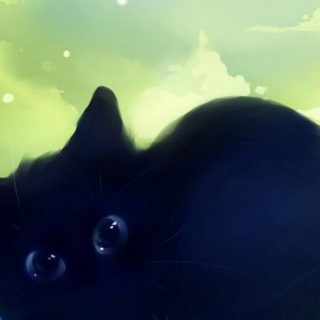 Cat black cat iPhone4s Wallpaper