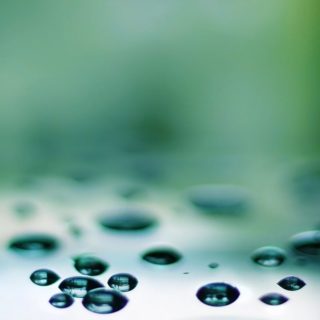 Natural water drops iPhone4s Wallpaper