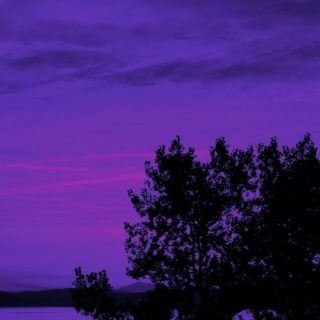 Landscape purple iPhone4s Wallpaper
