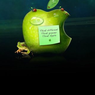 Apple green frog iPhone4s Wallpaper