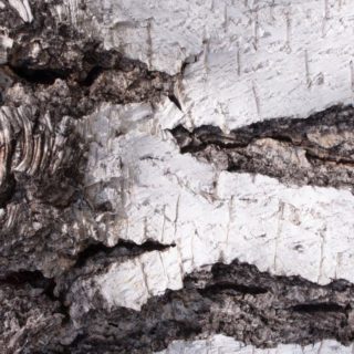 Wood white tea iPhone4s Wallpaper