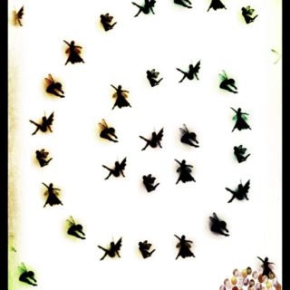 Fairy sparrow iPhone5s / iPhone5c / iPhone5 Wallpaper