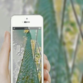 Tower smartphone iPhone5s / iPhone5c / iPhone5 Wallpaper