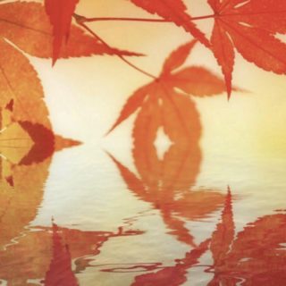 Autumn leaves Japanese style iPhone5s / iPhone5c / iPhone5 Wallpaper