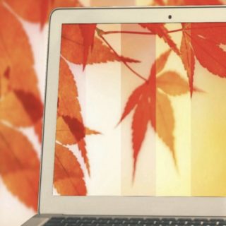 Autumnal leaves PC iPhone5s / iPhone5c / iPhone5 Wallpaper